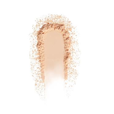 THE POREFESSIONAL POWER POWDER