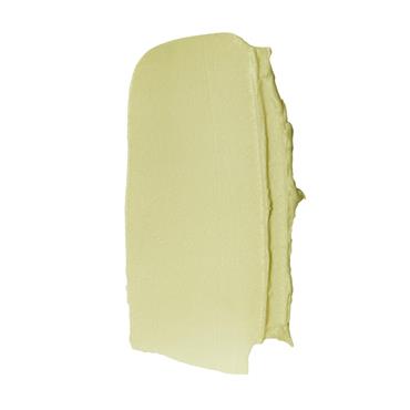 E.L.F. BLEMISH FIGHTING PUTTY PRIMER
