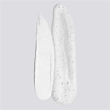 DAILY MICROFOLIANT 13G