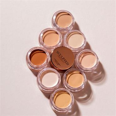 COMPLETE COVER UP CONCEALER