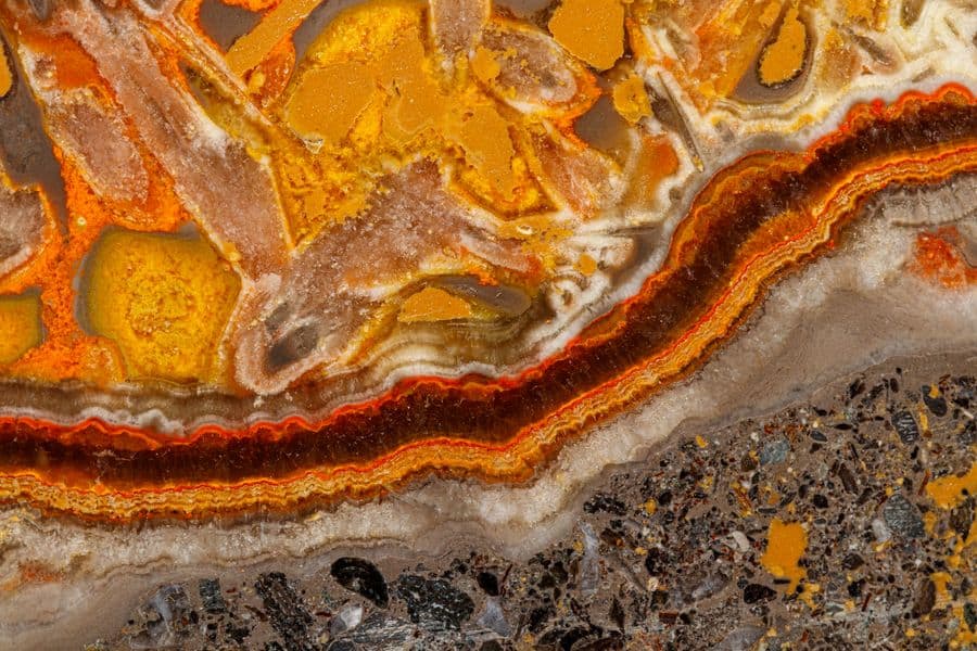 Macro mineral stone "Bee" jasper on a gray background close-up
